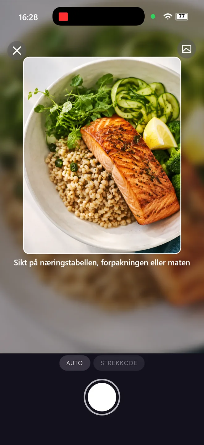 Matkameraet med laksebolle i søkeren